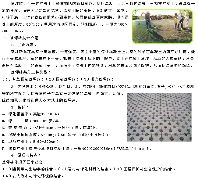 草坪砖